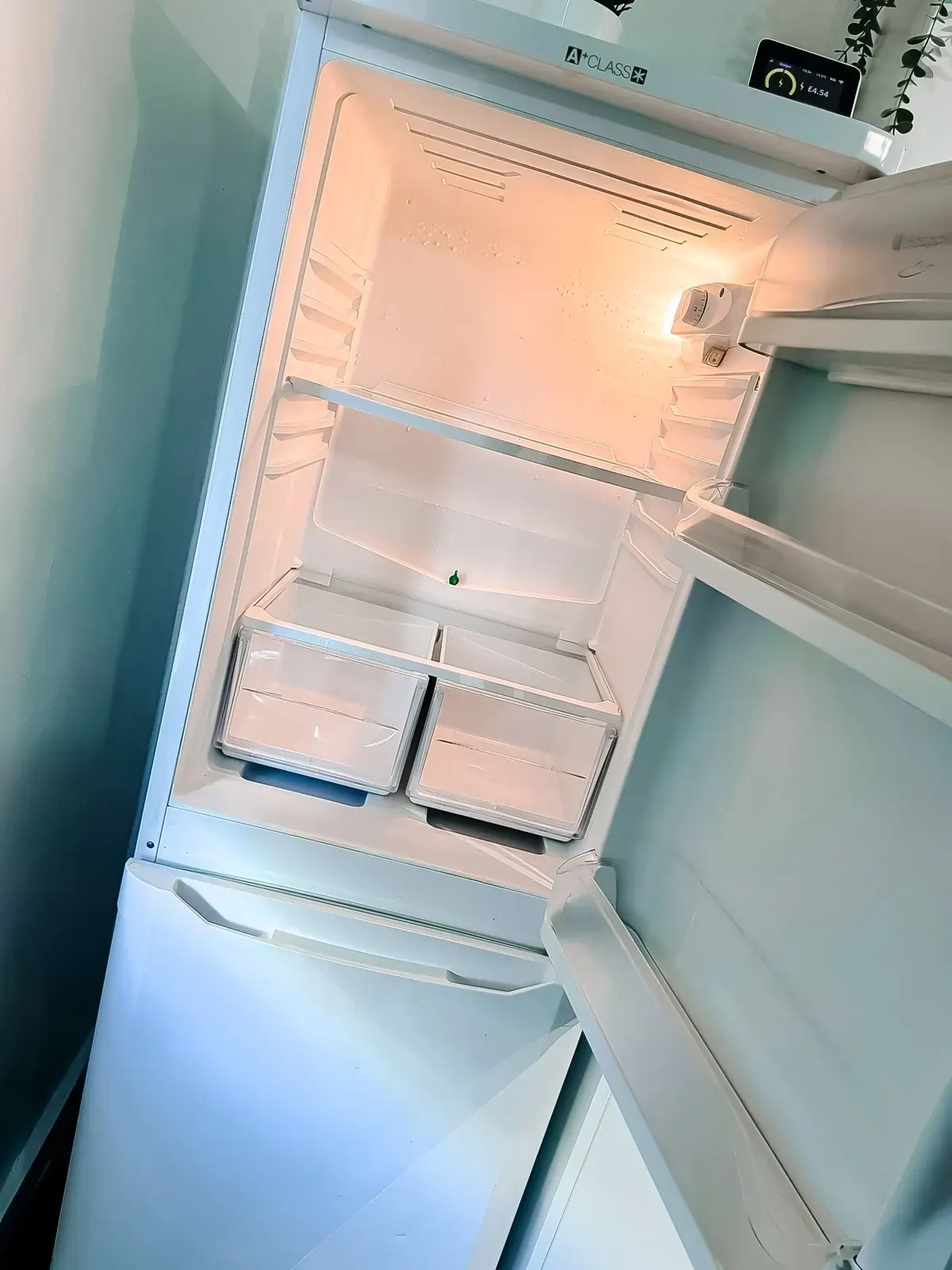 Fridge-freezer and kitchen shelving